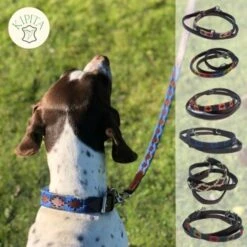 Kipita Polo Hundeleine Noble -Ruffwear Verkäufe 992fac3edc92486a19b1333592b84b50c5287273 1410957 de DE 6d6de6837b022ad01a8c4875ca7db93a18f6bb15k0Amg4