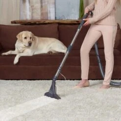 THOMAS DryBox Amfibia Pet -Ruffwear Verkäufe 9953282c61e03abd8b9e8af05edae29417570062 1406734 de DE 1c8fb73e21f9aae62063930fedd2d58afb94e8aanSOWPf