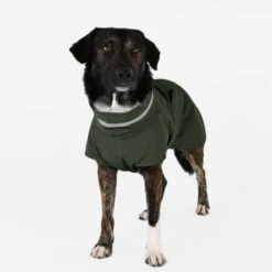 THE DOG IDEA Regenmantel Kayden Dunkelgrün XXXS -Ruffwear Verkäufe 9a668c504b3486a9b86c49e089604e2cd6aae5dc 1681316 de DE 64d44c6bd735967b4baec49248122e0f86b4bfe79BFyCh