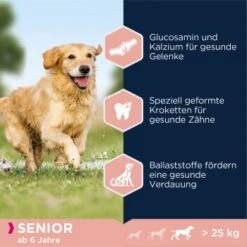 EUKANUBA Senior Large & Giant Breed Lamm & Reis 12kg -Ruffwear Verkäufe 9a800125a21c4150fa4e12ea89fb6d238d0ecc05 dc3f815ea1bcea675af23baf846f997924ddadfc