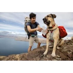 Ruffwear Swamp Cooler Core™ Geschirrzubehör S 19 Ruffwear Swamp Cooler Core™ Geschirrzubehör S -Ruffwear Verkäufe 9ba5d07ebcdd1ff9188c1e1be27524a445353621 1651553 de DE 30f2b9bf5f20bc24b06fe4798a2a08e0e59cfe218Xq70v