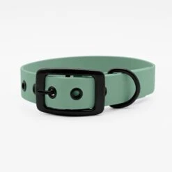 THE DOG IDEA Biothane Halsband Salbei Schwarz XS -Ruffwear Verkäufe 9cc242a7a200d121daae8d7a916c504db07ebf36 1674230 de DE 557960ad3c94d0d63ed25c96ec0ee77838293a04Cno0Ts