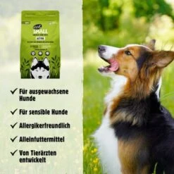 Eat Small EatSmall 2x10kg Active Trockenfutter 12 Eat Small EatSmall 2x10kg Active Trockenfutter -Ruffwear Verkäufe 9e24696186c4ac0ad1c1b16428f5d7017a5f05eb 1472610 de DE 045556f8e417da90be61f538db133a32cf0ddbabN0gXgq