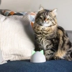 SureFlap Sure Petcare Hub -Ruffwear Verkäufe 9f5bfec8de043f4a92cd1437f562ae1683a10820 46ac2e41b6bc8ea03ea15881bcebd38d8c7bf830