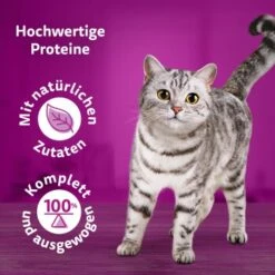 Whiskas Pure Delight Mega Pack Geflügel Ragout In Gelee 40 X 85g -Ruffwear Verkäufe 9f640c36363dfb61f5b5632a4b10e09a36dea899 1410723 de DE Whiskas2 1