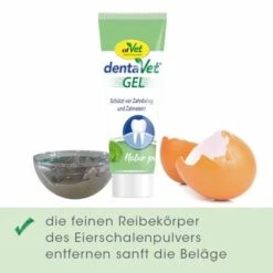 DentaVet Gel 25ml -Ruffwear Verkäufe a19eab73a92508a73ea5e5f0a6364e8f0f7b1169 1667843 de DE 3d8da4ca500c5da012ca3e2baf0e39e1911d82036UjIsE