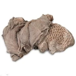 ProCani Buy Nature Blättermagen / Pansen Grün 16x500 G -Ruffwear Verkäufe a1ab62f26a3d4f860be502cda7179019c594d7d1 1408372 de DE proCani Bl ttermagen Pansen gr n 500g