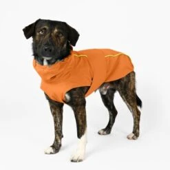 THE DOG IDEA Regenmantel Duke Orange XXXS -Ruffwear Verkäufe a1af009970fbe0d49b23b55aae3478442e9eb5e6 1473000 de DE e975935bd14ae10e3cbf4709cc9d05a6879844e2TUSiIw