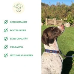 Kipita Polo Hundeleine Noble -Ruffwear Verkäufe a1f661d57eb416cf465df015cbe6dbe15b002868 1410957 de DE 2a9bc2619d6cce10e84e052332c10a97d164fecfgIBn2h