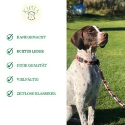 Kipita Polo Hundeleine Rainbow -Ruffwear Verkäufe a2c75ce377ad0bdc620fae8249de4744cf0eee28 1410921 de DE 6f891659a2f595d1b30e918fefe4ff5811ec8a16AyAJ3g