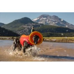 Ruffwear Hydro Plane™ Spielzeug M Orange -Ruffwear Verkäufe a3976cd8510df92d7b86f42c35fd984bc0313421 1364300 de DE 7e1ea9adae25d55e79a8aed2cc6dc797ac8d0d03R1qvUL