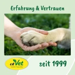 DentaVet Gel 25ml -Ruffwear Verkäufe a3f0f225424e36ead3f58163a43f1ebde29b0acd 1667843 de DE f215127866d604991b4efc218004018ddf447095y5Ccte