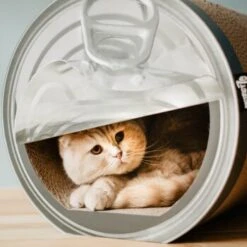 District 70 CAN Cardboard -Ruffwear Verkäufe a4cd0fa7850dfd13b737775762ce59afa0fa6bcc dc81845d134bfb19e2eca4e5bc9344d6856acd6a