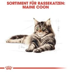 ROYAL CANIN Maine Coon 12x85g -Ruffwear Verkäufe a5125a261db08921e9cf46ebc8fabd7e8cbf5fac 1229815 de DE rc 2