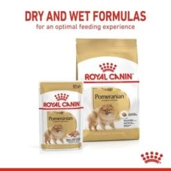 ROYAL CANIN BHN Pomeranian 1,5 Kg 34 ROYAL CANIN BHN Pomeranian 1,5 Kg -Ruffwear Verkäufe a5b0449729747ea0e5b34ec2ce2b2c8fbb6bc409 1379877 43