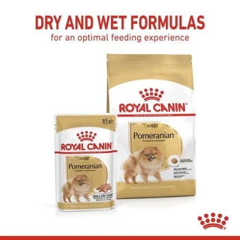 ROYAL CANIN BHN Pomeranian 1,5 Kg 16 ROYAL CANIN BHN Pomeranian 1,5 Kg – Bild 16