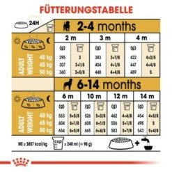 ROYAL CANIN Rottweiler Puppy 12 Kg -Ruffwear Verkäufe a621c717bd3b33833d38e1e6af43d30152c07c99 84ec0dc2cfcc260332037a3c8fa697a37c661a1a