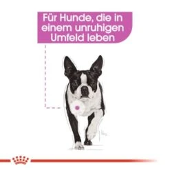 ROYAL CANIN Relax Care 12x85g -Ruffwear Verkäufe a8e16ebf9b383d62b8f98fd1629d4e4865619a6e 6b36971f11a71751b0758ac67032d8e771cf5219