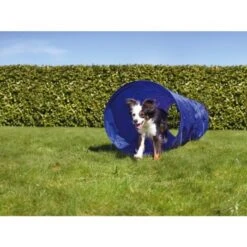 AniOne Agility Set 15 AniOne Agility Set -Ruffwear Verkäufe a9045f37e3b9a3f15139e57306551989ab21aec1 2dc906b772e837b2770e0f896237c640992fd5d2