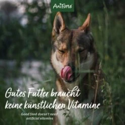 Aniforte GreenfieldTurkey Pute Mit Quinoa 2,4 Kg -Ruffwear Verkäufe a9c6f59e54f0b6f1b44e9f9ed8f792c0291cc47c 1422188 de DE 12b8cfe33ee675107bc8329d05c3a48ecec8adbaiHjtaM