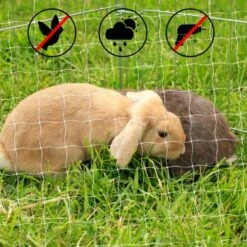 Lionto Katzennetz Inkl. Befestigung -Ruffwear Verkäufe ad1b651d8bcc461ab7a5d32a4c77b44e521cf768 1665913 de DE 7c500006d9abf3223e26fa8841d70bed2db024adIv4nbt