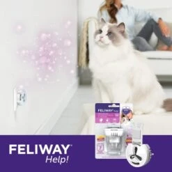 Feliway Help! 7 Tage Start-Set Zur Vorbeugung Von Stress -Ruffwear Verkäufe af221c57f6ccc9e6f3f372e52503a2d7b9cf22d4 1380136 5