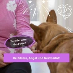 BeG Buddy Beruhigungsmittel Anti Stress 9 BeG Buddy Beruhigungsmittel Anti Stress -Ruffwear Verkäufe b103d91cb68ed72492e1a80be5084c66da746197 1457250 de DE 08609e0fa51d07263b2814ccdd31d9130bc0e999N5hPoA