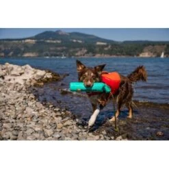 Ruffwear Lunker™ Spielzeug Blau/ Türkis -Ruffwear Verkäufe b1ff74faaf51c648517e284bc677372b2de917b1 1364294 de DE 872baa13c3c684e3cd884d6a02e37e7e22ad686cLNC7EY