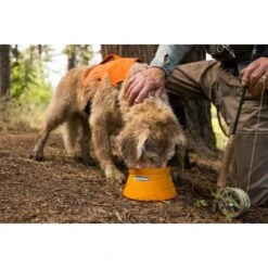 Ruffwear Bivy™ Faltbarer Napf -Ruffwear Verkäufe b21f85e12f046bba6b04285e99963c46170021f9 1651613 de DE 125ef372cbb05a1c89e3245701a5cdf0079102b6GpOPij