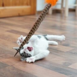 Schlitzohr Federwedel Birdy 3er Pack 15 Schlitzohr Federwedel Birdy 3er Pack -Ruffwear Verkäufe b2468018bd2b888c11ee64154d86732de60c7830 1659562 de DE 7d36675a42a956412d003b03e1f072b0ae0379063UsHBd