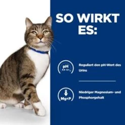 Hill's Prescription Diet Urinary Care S/d Mit Huhn 1,5 Kg -Ruffwear Verkäufe b25f4f5b823be59025edb4bc314f826ce4c3435f 360a9512ec9f86fcd3e8ef81f0e290c3a94e660f
