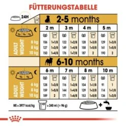 ROYAL CANIN Mops Puppy 1,5 Kg -Ruffwear Verkäufe b4fde8fc0325fcebebf1f7ba77ece4a760892ed2 1142a47ae7899b973d3881a321687bd221657b17