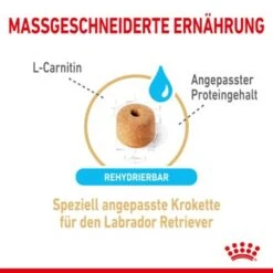 ROYAL CANIN Labrador Retriever 5+ Adult 12 Kg -Ruffwear Verkäufe b50c8a1435989a2950ce72ea20cdae574ad4dd3b 41e4c74c4663698bb5e9447245da100c9a5fa5fe