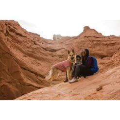 Ruffwear Hemp Hound™ Sweater Rosso M -Ruffwear Verkäufe b5165b497ab2ca12deabc5b7372706595a781875 1639886 de DE 86e1a268a8e48c7c0eda07c50072b9e29b38b607mGQtvr