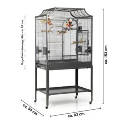 Montana Cages Voliere Madeira II Dunkelgrau -Ruffwear Verkäufe b6069bd0e8efbbecb820b86479efcb00324d52e9 1011602 de DE cc36261b6340a0a166d8593c576822d873114e0drQW25I