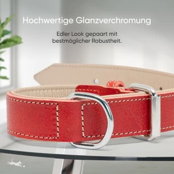 Freudentier Gefüttertes Halsband Aus Leder Rot L 6 Freudentier Gefüttertes Halsband Aus Leder Rot L – Bild 6