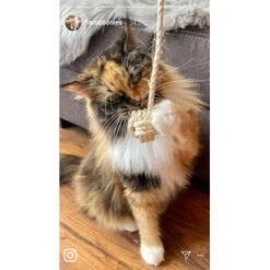 Kater Kasimir Deluxe Set Mit 9 Beliebten Katzenspielzeugen Aus Naturmaterial Und Handgemachtem CATMOM Armband 10 Kater Kasimir Deluxe Set Mit 9 Beliebten Katzenspielzeugen Aus Naturmaterial Und Handgemachtem CATMOM Armband -Ruffwear Verkäufe b933584b7dcd56603dddd340f05442bfffc43e18 1408141 de DE 8e1afbeea10c4c53b2e3c89a347993a00031803ayqowzr