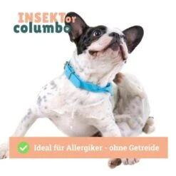 BeG Buddy Trockenfutter Insekten 750 G 12 BeG Buddy Trockenfutter Insekten 750 G -Ruffwear Verkäufe b951bf103cba0e3ddd39b167b2a9944274144aaa 1457247 de DE 4e178ddbc2b2fdbf0c31f82dc0c4f17ba0e1886aXaHs9j