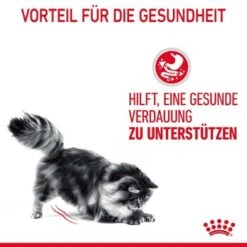 ROYAL CANIN Digest Sensitive 12 X 85 G -Ruffwear Verkäufe ba8f0887f733c8e53f9aa087d9158d7e9bcea30d 1100873 3