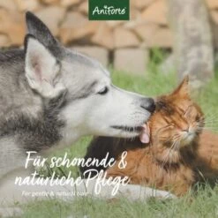 Aniforte VET Ohrenreiniger Kamille 250ml -Ruffwear Verkäufe bb72cf922fff80c2ad100a34a6028fcdc6e18ba8 1441191 de DE 04511de56e799f1986950cb040592ffe3d335883KMQ73o