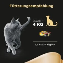 Sheba Delikatesse In Gelee 40x85g -Ruffwear Verkäufe bbaa02f757fde6870dc20a49fc3a0038b9dee9ca da996aa0a5acf0483f2a5edefc15d5dc9cb6c05f