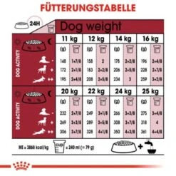 ROYAL CANIN Medium Ageing 10+ 15 Kg -Ruffwear Verkäufe bc3bd55707a48f0f87ce5dd933b48760ecdeb8cb f5b1d48838e32f6ded7eb9d098af0cd1549600bb