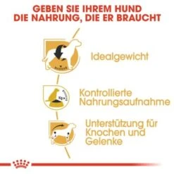ROYAL CANIN Beagle Adult 3 Kg -Ruffwear Verkäufe bd1d862302227d3355d22f5dd63b0fb6e01c0979 a169571c5cbde6082adf0be87e23db9042e69066