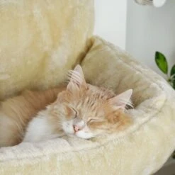 Schlitzohr Heizungsliege Lucky Beige -Ruffwear Verkäufe bdc02033928d033279e49ebefe91371e629dfd2f 1484673 de DE 4daf09016934a9074c92f48c173e840fa6385a4agwWEjb