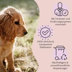 FAVLY Petfood Premium Naturkauartikel Rinderlunge 900 G 5 FAVLY Petfood Premium Naturkauartikel Rinderlunge 900 G -Ruffwear Verkäufe bf0295fc51175eb9c0e295a7e2fc491189dc6682 1473997 de DE a2c9f8d86d80fc90ca8f9c923a08051ec130ef8deOeplF