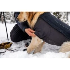 Ruffwear Cloud Chaser™ Hundejacke -Ruffwear Verkäufe c08ed86245839b8fa7d59b47206e376a4924f862 1369625 de DE 87ed046f15d6c099e4f33a0b92b8494c495a6d97LL6Vmg