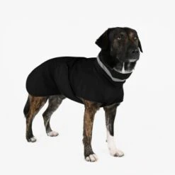 THE DOG IDEA Regenmantel Kayden Schwarz XXS -Ruffwear Verkäufe c18b23279d60151229230a78a82b6d6c3b74ebe5 1681338 de DE d78b0c566a495808908252ea5e111324b1c967883VlEnV