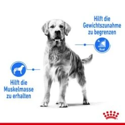ROYAL CANIN Light Weight Care Medium 12 Kg -Ruffwear Verkäufe c20cbc5fbbaf80a286086f39d304eb3b78f86bf5 1376169 de DE asa 4