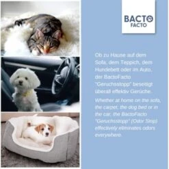 ChronoBalance BactoFacto Probiotischer Geruchsstopp Pads Für 2 Liter 20 Ml 11 ChronoBalance BactoFacto Probiotischer Geruchsstopp Pads Für 2 Liter 20 Ml -Ruffwear Verkäufe c27e75fc226c89e592b2af9866887997e79057a8 1397549 de DE 11eaf103bff429178d8c79950fc83faf63345183BU6JEF