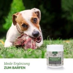 Aniforte BARF-Line Naturkräuter Mix 250g 8 Aniforte BARF-Line Naturkräuter Mix 250g -Ruffwear Verkäufe c578d8ead8b853abfea2a82ca4591ace6b681e88 1477973 de DE f5c2f4103e3264129f0109b6cb84b47eaa0188a6cBLOvK